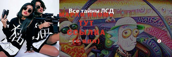 стафф Богданович