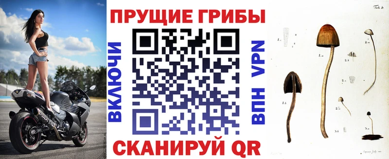 Галлюциногенные грибы GOLDEN TEACHER  Нестеровская 